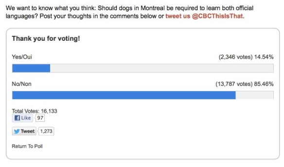 Montreal bylaw requires dogs understand commands in both official languages This is That with Pat Kelly and Peter Oldring CBC Radio