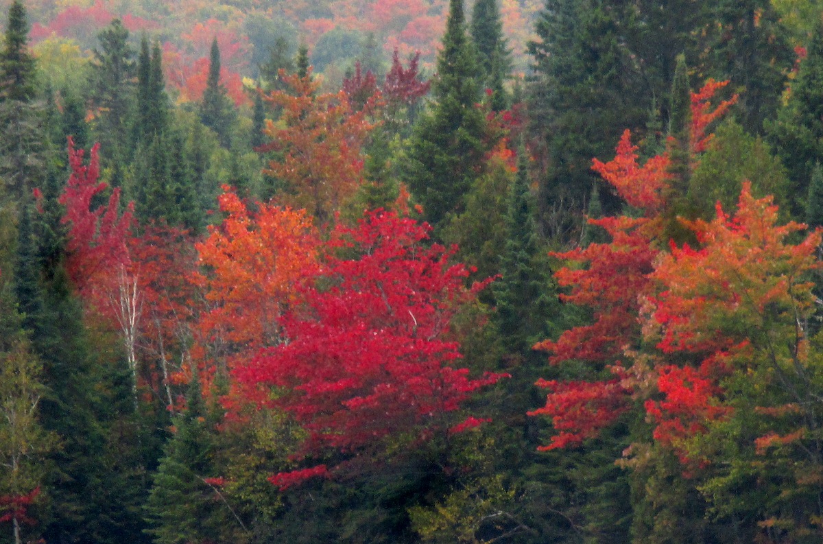 Live aus dem Indian Summer BLOGHAUSGESCHICHTEN