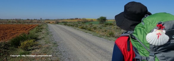 Camino-de-Santiago