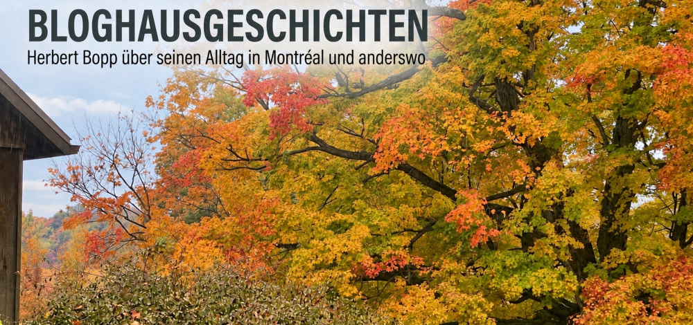 BLOGHAUSGESCHICHTEN